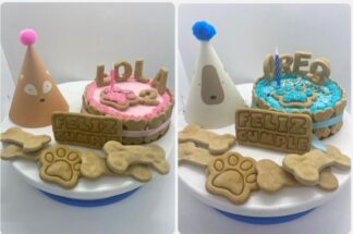 Kit Cumpleaños para perros.
