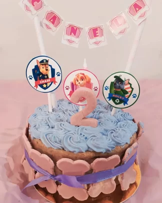 Pastel Paw Patrol Sky