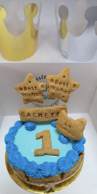 Kit de cumple para Gatos