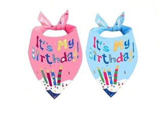 Bandanas Feliz Cumple